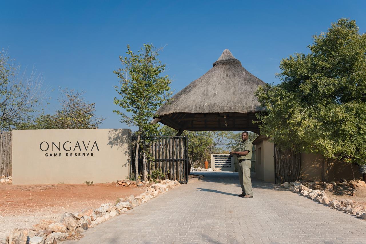 Ongava Lodge 오카우쿠에요 외부 사진